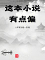 這本小說有點偏