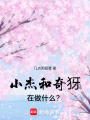 小杰和奇犽在做什么？