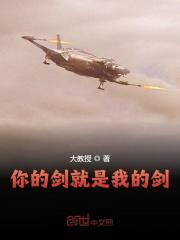 小说《你的剑就是我的剑》在线全文阅读