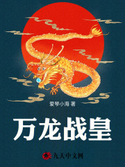 宁叶叶战（万龙战皇小说）精彩章节在线阅读