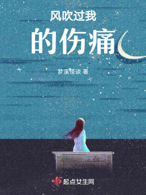 風吹過我的傷痛