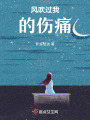 風吹過我的傷痛
