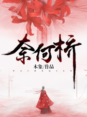 小说《奈何桥》全文免费阅读