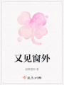 又見窗外