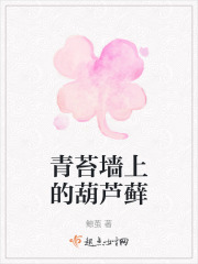 青苔墻上的葫蘆蘚