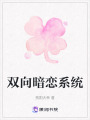 雙向暗戀系統