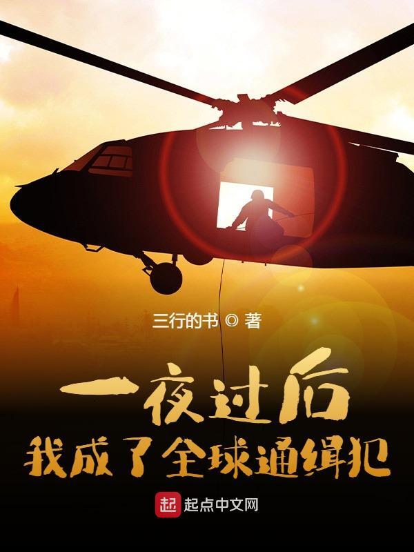 完整版《一夜过后，我成了全球通缉犯》全文阅读