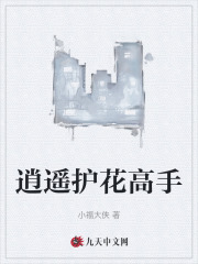 《逍遥护花高手》小说全文在线试读，《逍遥护花高手》最新章节目录