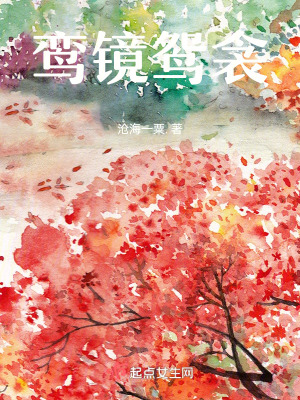 鸞鏡鴛衾