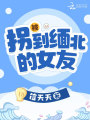 被拐到緬北的女友