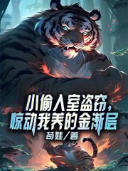 小偷入室盗窃，惊动我养的金渐层沈飞苏小语小说阅读，小偷入室盗窃，惊动我养的金渐层完整版