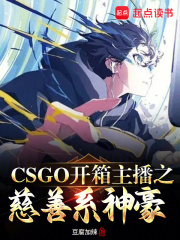 完整版《CSGO开箱主播之慈善系神豪》全文阅读