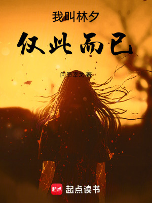 我叫林夕，僅此而已