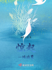 驚起一攤鷗鷺