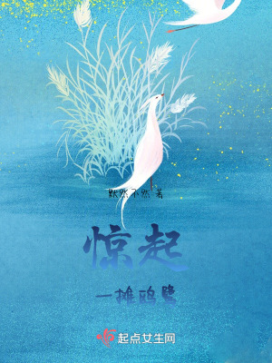 驚起一攤鷗鷺