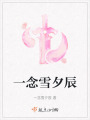 一念雪夕辰