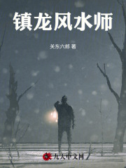 镇龙风水师小说，镇龙风水师最新章节