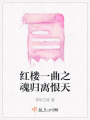 紅樓一曲之魂歸離恨天