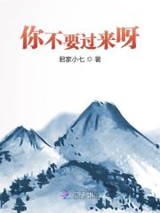 夏初陆聿修小说《你不要过来呀》全文免费阅读