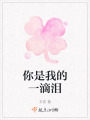 你是我的一滴淚
