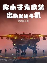 《你小子竟改装出隐形战斗机》小说大结局免费试读 林风林楚小说