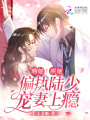 吻她！哄她！偏執陸少寵妻上癮！