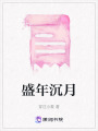 盛年沉月