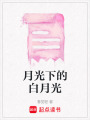 月光下的白月光