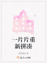一片片重新拼湊