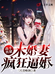 高手：未婚妻疯狂逼婚叶天麟楚若雪小说在线全文免费阅读