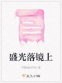 盛光落鏡上