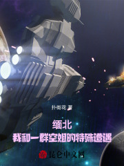 完整版《缅北：我和一群空姐的特殊遭遇》章节目录在线阅读