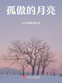 孤傲的月亮