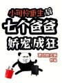小可憐重生后，七個爸爸嬌寵成狂