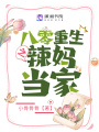 八零重生之辣媽當家
