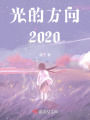 光的方向2020