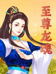 小说《至尊龙魂》全文阅读