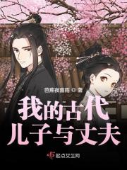 已完结小说《我的古代儿子与丈夫》在线全文阅读