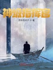 求神级指挥官小说免费资源