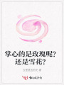 掌心的是玫瑰呢？還是雪花？