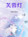芙蓉燈