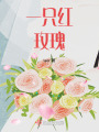 到大學(xué)