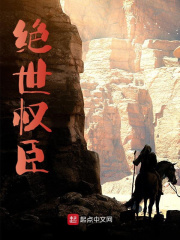 绝世权臣免费阅读，绝世权臣夏景昀冯秀云小说无弹窗阅读