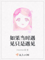 如果當時遇見只是遇見