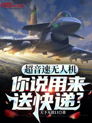 《超音速无人机，你说用来送快递？》小说全文在线试读，《超音速无人机，你说用来送快递？》最新章节目录