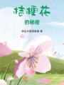 桔梗花的秘密