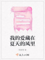 我的愛藏在夏天的風(fēng)里