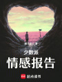 少數(shù)派情感報(bào)告