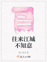 往來江城不知意