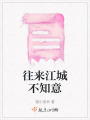 往來江城不知意